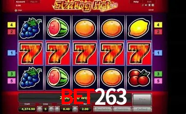 Security Systems bet263